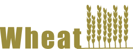 株式会社wheat 一粒のアイデアを大きなビジネスに